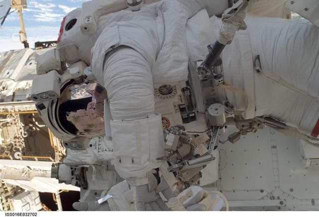NASA image: Linnehan during Expedition 16/STS-123 EVA 1