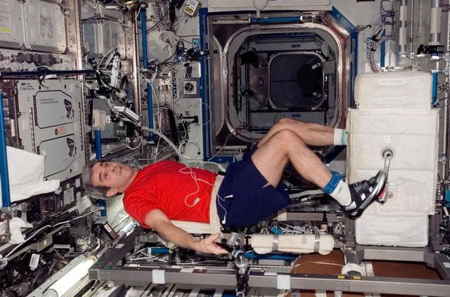 NASA image: Eyharts Exercises on the CEVIS in the US Lab
