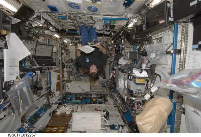 NASA image: Chamitoff looks over checklist in the U.S. Laboratory during Expedition 17