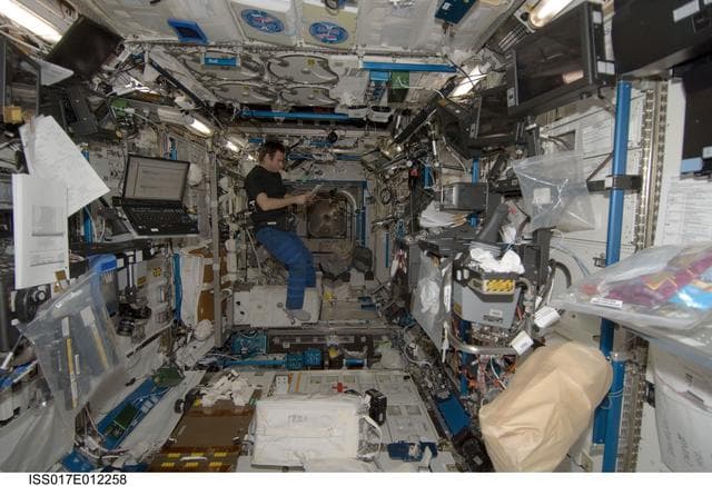 NASA image: Chamitoff looks over checklist in the U.S. Laboratory during Expedition 17