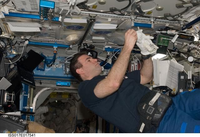 NASA image: Chamitoff works with the MELFI in the U.S. Laboratory during Expedition 17