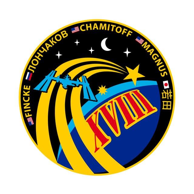 NASA image: Exp 18 patch 5-19-08 names colors