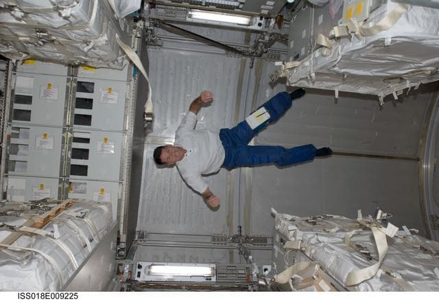 NASA image: ISS Expedition 18 Multi Purpose Logistics Module (MPLM) Interior