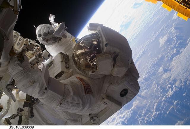NASA image: STS-126 extravehicular activity (EVA) 3 Bowen in EMU