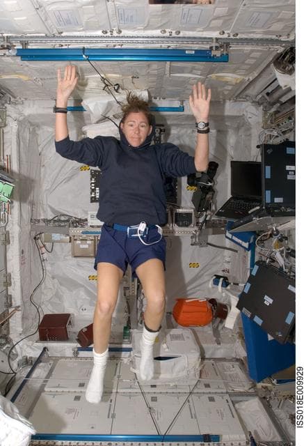 NASA image: Magnus at Laptop in European Lab Columbus