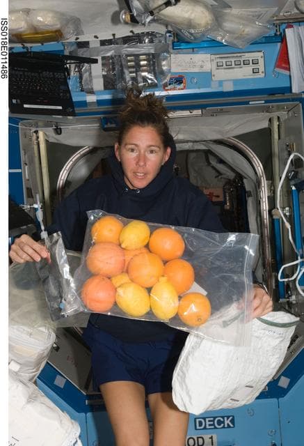 NASA image: ISS Expedition 18 Yuri Lonchakov in US Laboratory Destiny