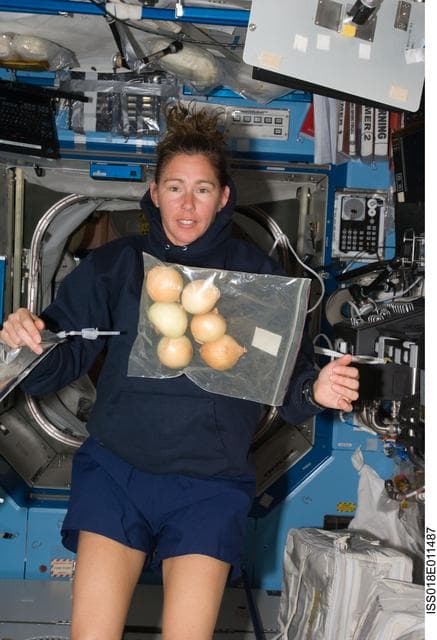 NASA image: ISS Expedition 18 Yuri Lonchakov in US Laboratory Destiny