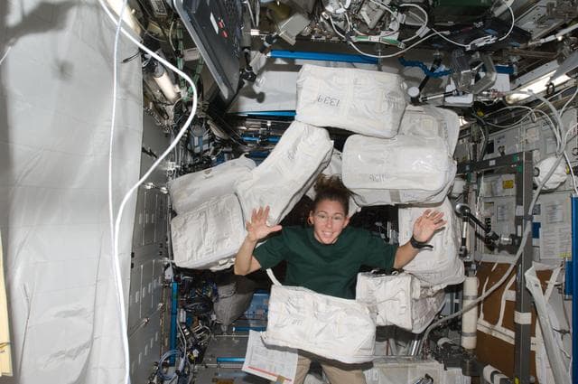 NASA image: ISS Expedition 18 Magnus in US Laboratory Destiny
