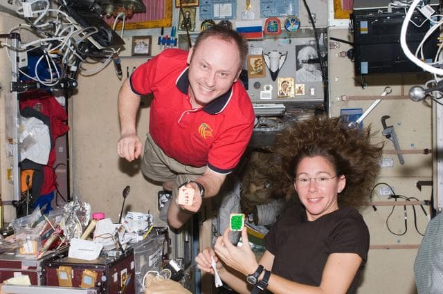 NASA image: ISS Expedition 18 Christmas Dinner Prep