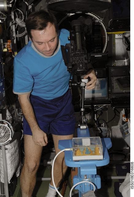 NASA image: ISS Expedition 18 MATI-75 Setup in the Service Module (SM)