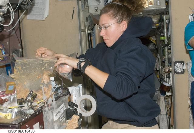 NASA image: Magnus Food Prep in Service Module (SM)