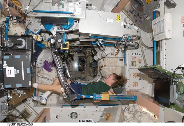 NASA image: ISS Expedition 18 Sandra Magnus uses Advanced Resistive Exercise Device (ARED)