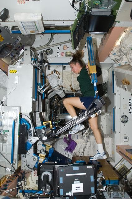 NASA image: ISS Expedition 18 Sandra Magnus uses Advanced Resistive Exercise Device (ARED)