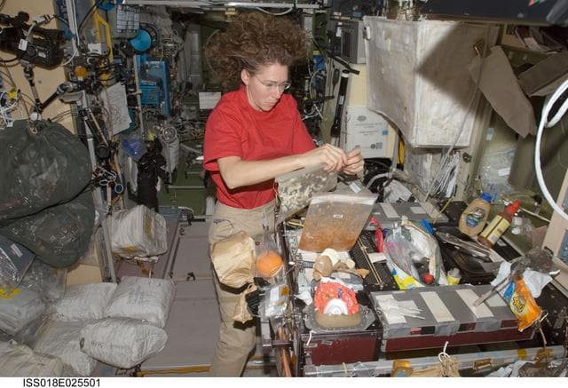 NASA image: ISS Expedition 18 Food Preparation in Service Module (SM)
