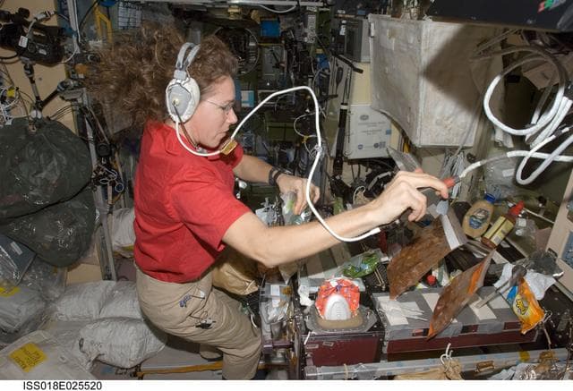 NASA image: ISS Expedition 18 Food Preparation in Service Module (SM)