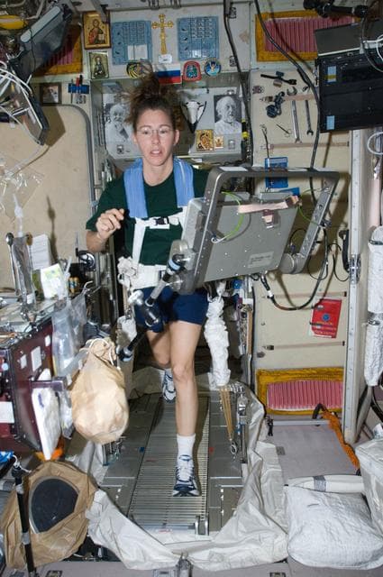 NASA image: ISS Expedition 18 Sandra Magnus on the Treadmill Vibration Isolation and Stabilization (TVIS) in Service Module (SM)
