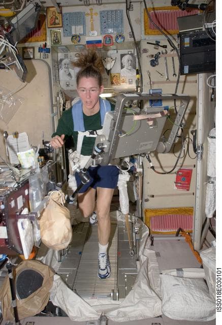NASA image: ISS Expedition 18 Sandra Magnus on the Treadmill Vibration Isolation and Stabilization (TVIS) in Service Module (SM)
