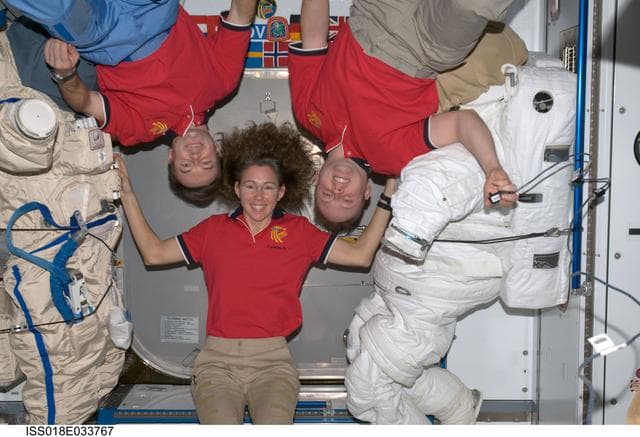 NASA image: Increment 18 crew photo
