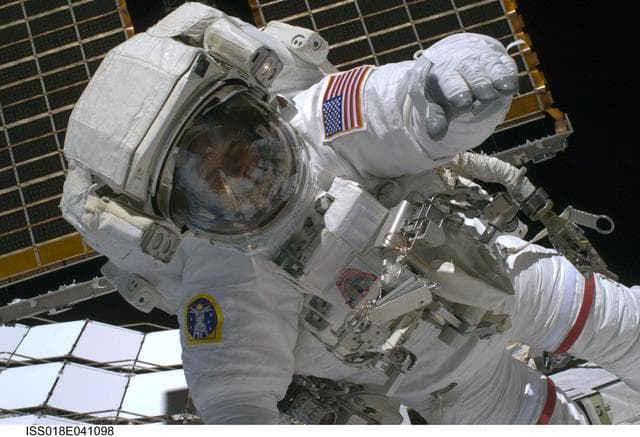 NASA image: STS-119 Extravehicular Activity (EVA) 1 Swanson in Extravehicular Mobility Unit (EMU)