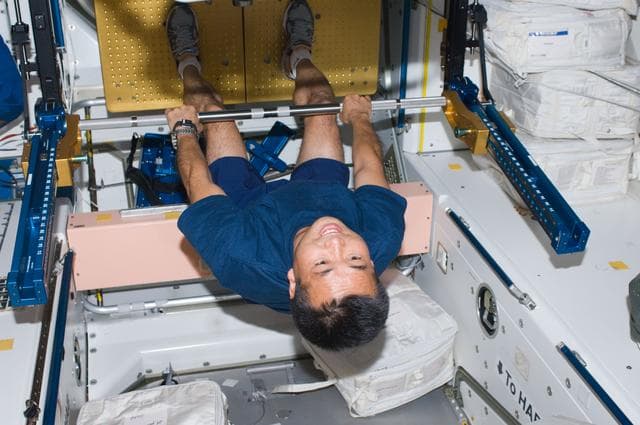 NASA image: Wakata uses Advanced Resistive Exercise Device (ARED) in Node 1 Unity