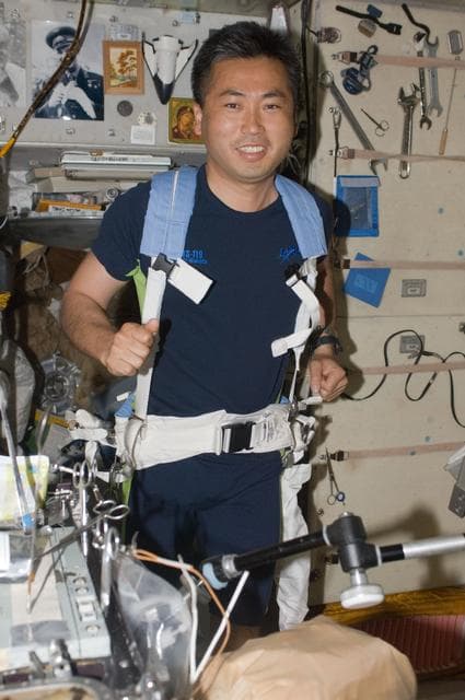 NASA image: Wakata uses Treadmill Vibration Isolation and Stabilization (TVIS)