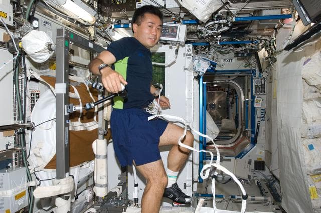 NASA image: Wakata on Cycle Ergometer with Vibration Isolation System (CEVIS)
