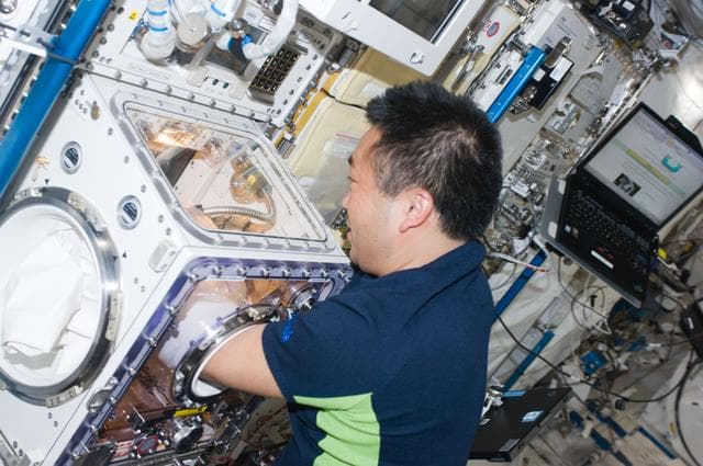 NASA image: DomeGene Sample Removal from Cell Biology Experiment Facility (CBEF)