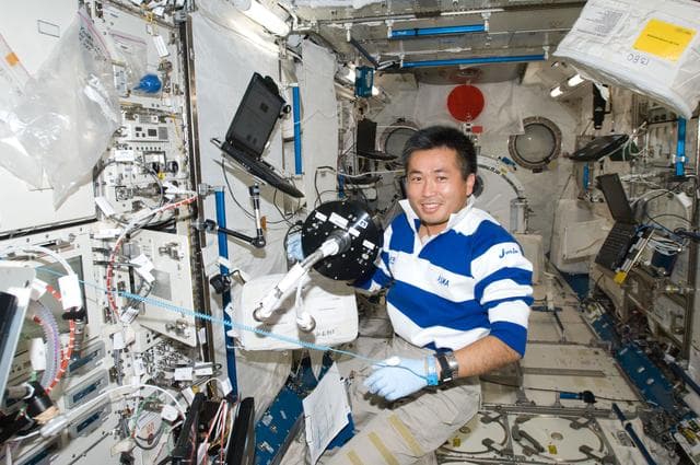 NASA image: FACET Cell installation in Solution Crystallization Observation Facility (SCOF) in the JEM Pressurized Module (JPM)