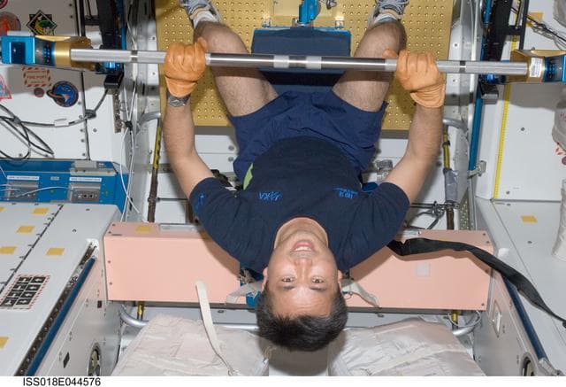 NASA image: Wakata exercises with Advanced Resistive Exercise Device (ARED) in Node 1 Unity