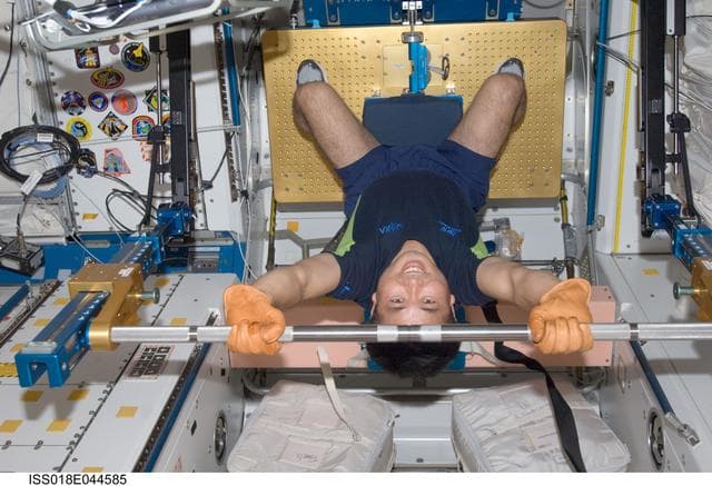 NASA image: Wakata exercises with Advanced Resistive Exercise Device (ARED) in Node 1 Unity