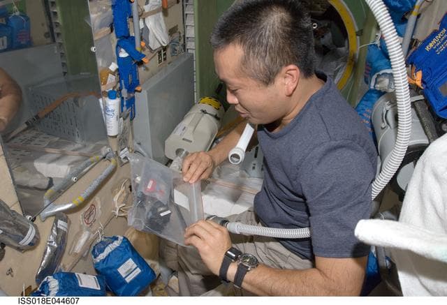 NASA image: Wakata haircut in the Service Module (SM)