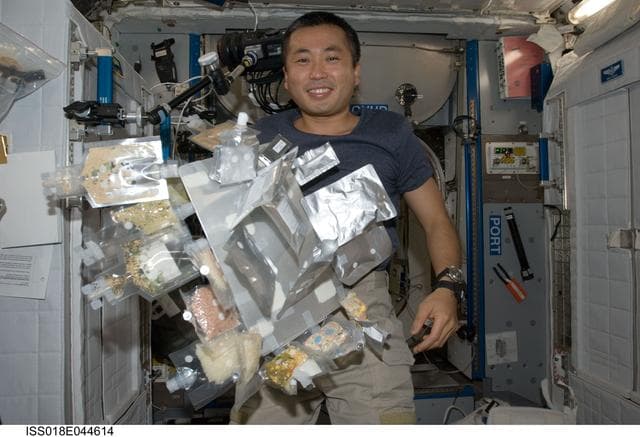 NASA image: Food Stowage in Node 2 Harmony