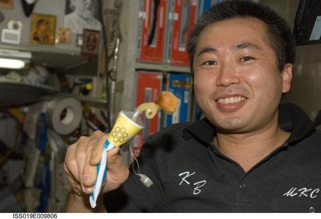 NASA image: Wakata in Service Module