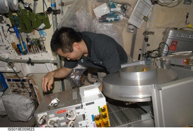 NASA image: Wakata with TVIS in Service module