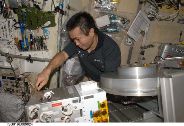 NASA image: Wakata with TVIS in Service module