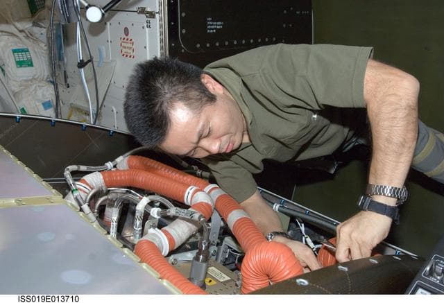 NASA image: Fan filter cleaning on the CHeCS AAA in the US Lab