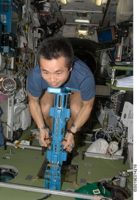 NASA image: PZEh-MO-8/Body Mass Measurement in Service Module