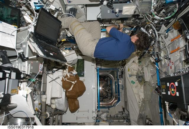 NASA image: Barratt collects sample from WRS