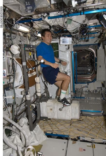 NASA image: Wakata on Cycle Ergometer in Lab