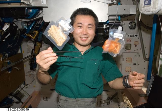 NASA image: Wakata with Food packets in Node 1