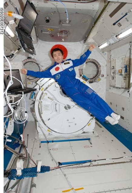 NASA image: Wakata in the JPM