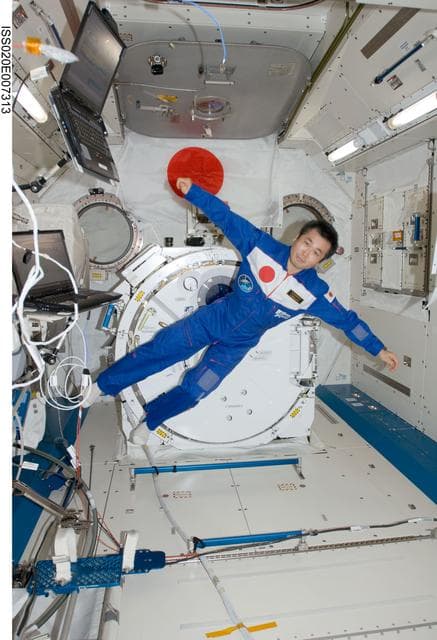 NASA image: Wakata in the JPM