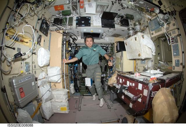 NASA image: Wakata in SM