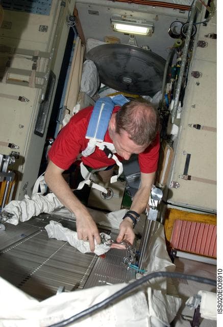 NASA image: De Winne exercises on the TVIS in the SM