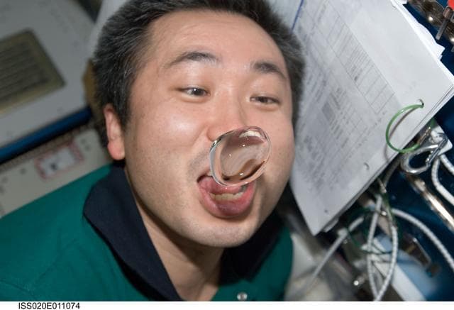 NASA image: Wakata with water bubble in Node 2