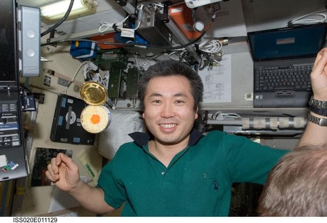 NASA image: Wakata in SM