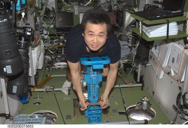 NASA image: PZEh-MO-8/Body Mass Measurement