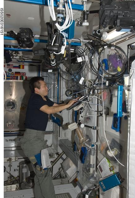 NASA image: Wakata in Node 2