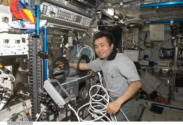 NASA image: Wakata works with InSPACE hardware
