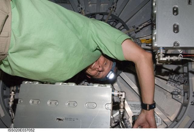 NASA image: Fuglesang at hatch